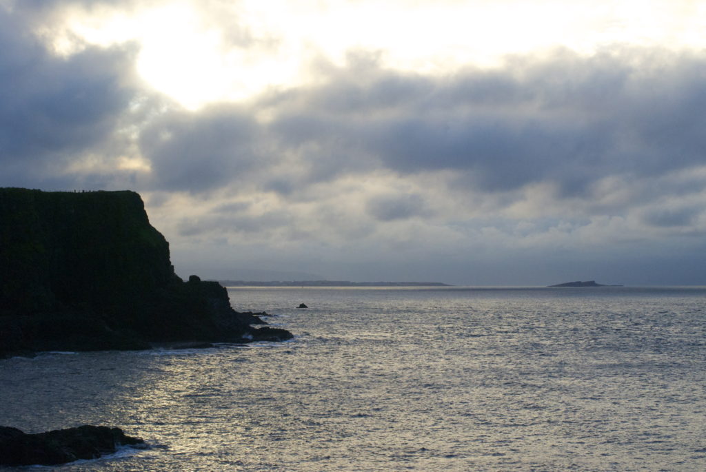 DSC_8700