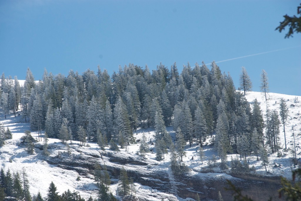 utf-8''DSC_4766