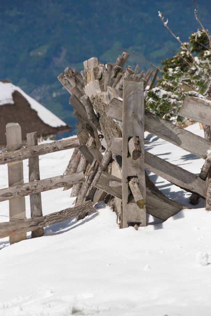 utf-8''DSC_4794