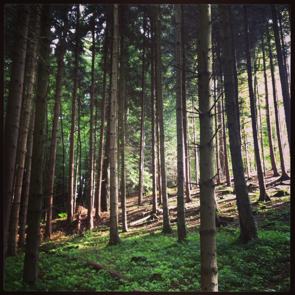 photo-6